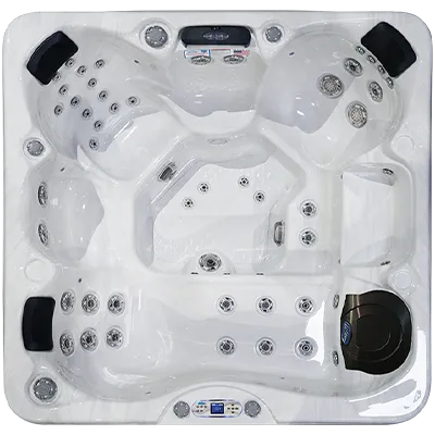 Avalon EC-849L hot tubs for sale in Rialto